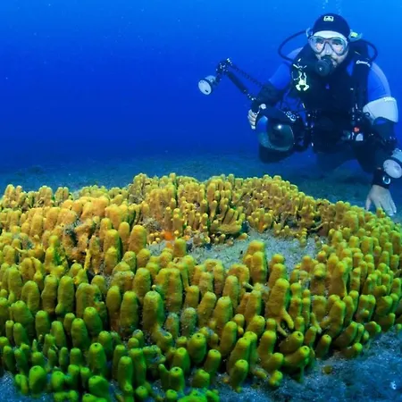 Ocean Appartamento *